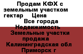 Продам КФХ с земельным участком 516 гектар. › Цена ­ 40 000 000 - Все города Недвижимость » Земельные участки продажа   . Калининградская обл.,Приморск г.